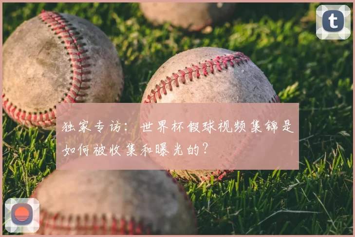 独家专访：世界杯假球视频集锦是如何被收集和曝光的？