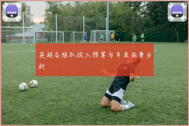 英超各球队投入预算与年度花费分析