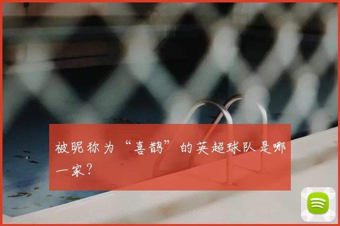 被昵称为“喜鹊”的英超球队是哪一家?