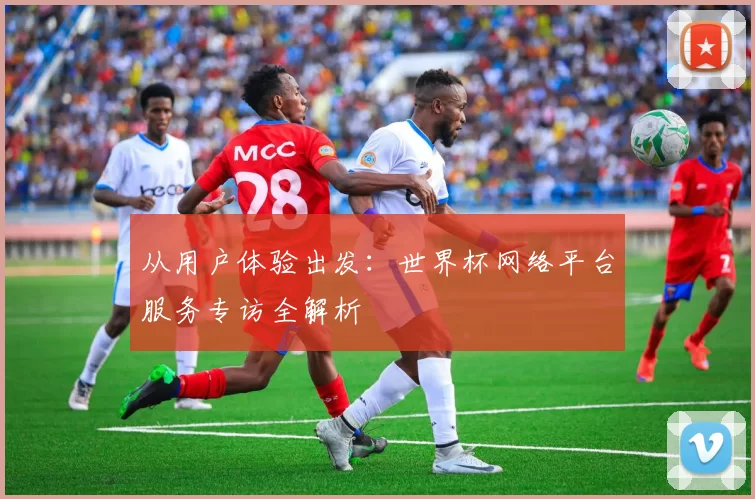 从用户体验出发:世界杯网络平台服务专访全解析