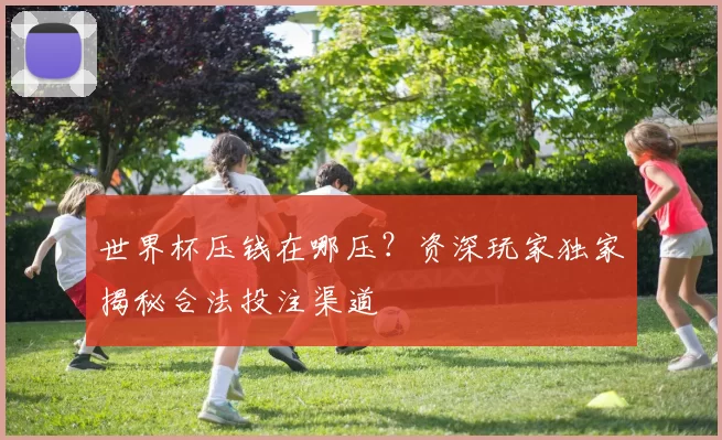 世界杯压钱在哪压？资深玩家独家揭秘合法投注渠道