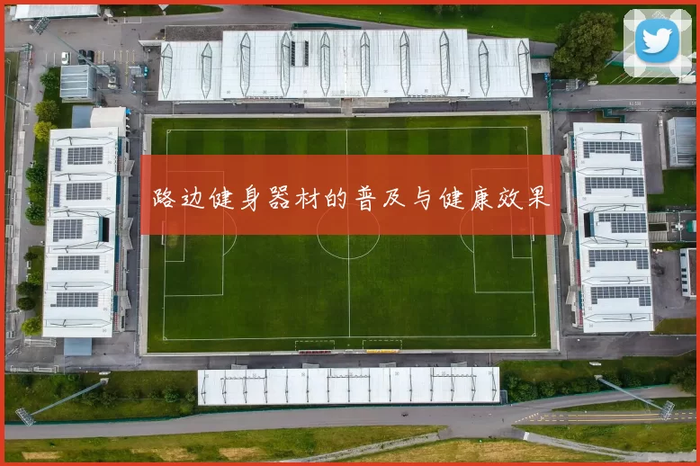 路边健身器材的普及与健康效果