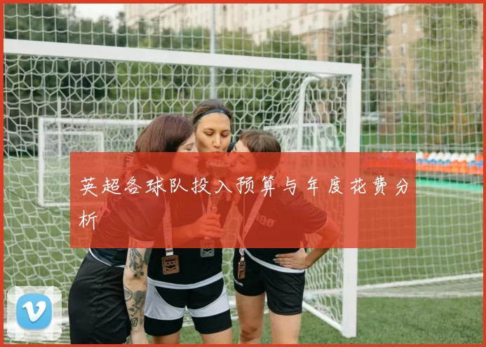 英超各球队投入预算与年度花费分析