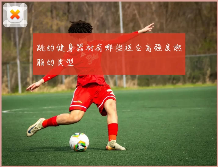 跳的健身器材有哪些适合高强度燃脂的类型