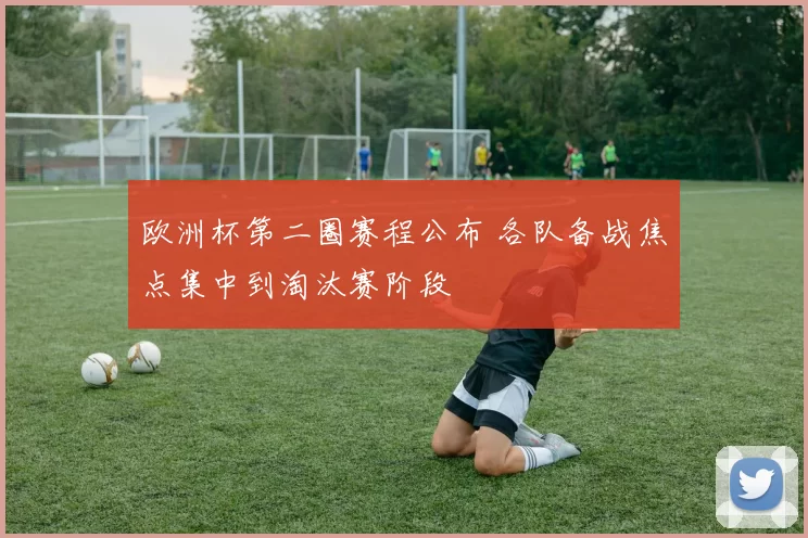 欧洲杯第二圈赛程公布 各队备战焦点集中到淘汰赛阶段