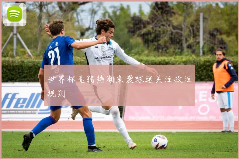 世界杯竞猜热潮来袭球迷关注投注规则