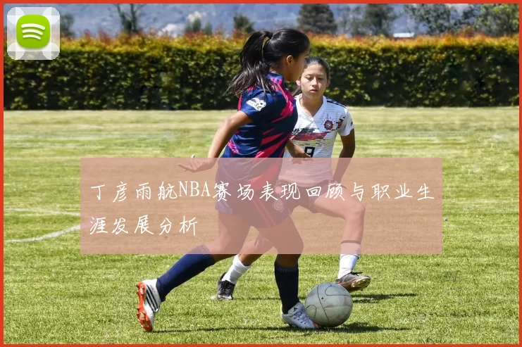 丁彦雨航NBA赛场表现回顾与职业生涯发展分析