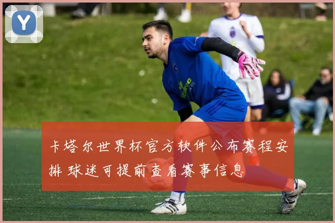 卡塔尔世界杯官方软件公布赛程安排 球迷可提前查看赛事信息