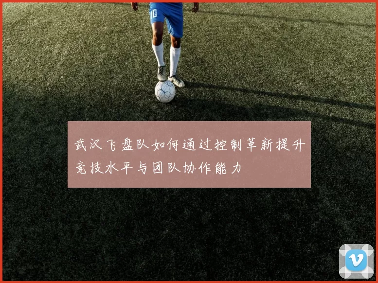 武汉飞盘队如何通过控制革新提升竞技水平与团队协作能力