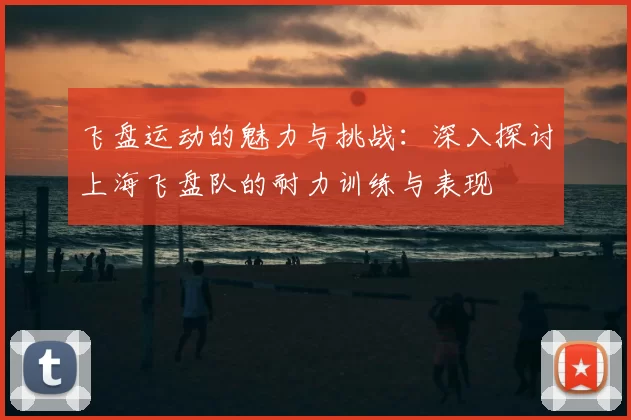 飞盘运动的魅力与挑战：深入探讨上海飞盘队的耐力训练与表现
