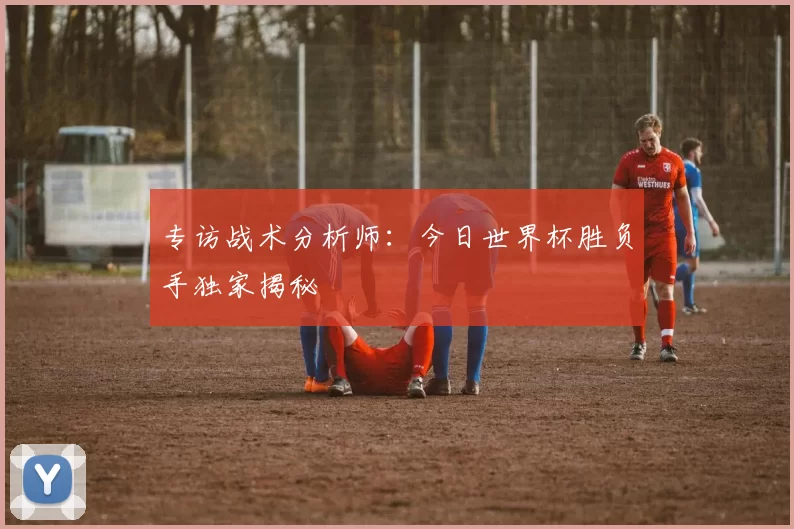 专访战术分析师:今日世界杯胜负手独家揭秘