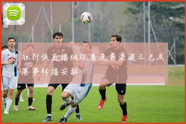 独行侠直播线观看免费渠道汇总及赛事转播安排