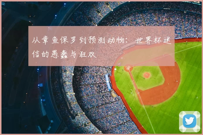 从章鱼保罗到预测动物:世界杯迷信的愚蠢与狂欢