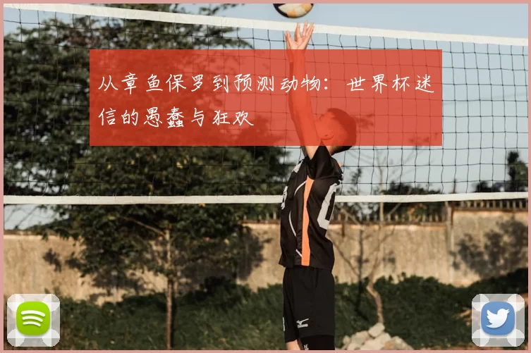 从章鱼保罗到预测动物：世界杯迷信的愚蠢与狂欢