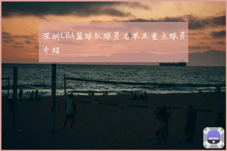 深圳CBA篮球队球员名单及重点球员介绍