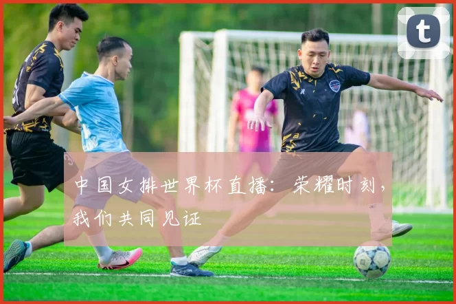 中国女排世界杯直播:荣耀时刻,我们共同见证