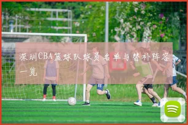 深圳CBA篮球队球员名单与替补阵容一览
